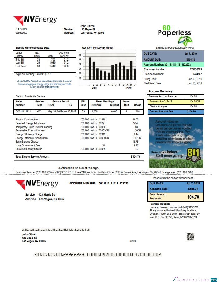 download download USA Nevada NV Energy utility bill template in Word and PDF format PDF template PDF template